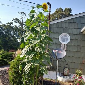 Meet your Posher, Fran